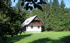 Apartment Lake Bohinj No. 5